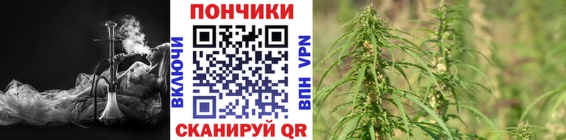 Бошки марихуана тримм Щёкино